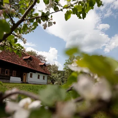 Zehna Hube * Semriach